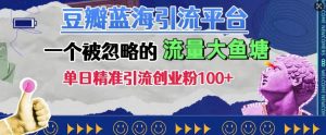豆瓣蓝海引流平台，一个被忽略的流量大鱼塘，单日精准引流创业粉100+-第一资源库