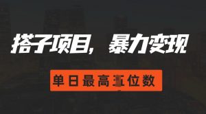 2024搭子玩法,0门槛,暴力变现,单日最高破四位数【揭秘】-第一资源库