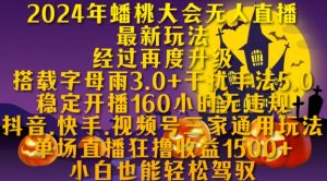 2024年蟠桃大会无人直播最新玩法，稳定开播160小时无违规，抖音、快手、视频号三家通用玩法【揭秘】-第一资源库