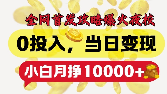 全网首发爆火夜校,0投入,当日变现,小白轻松月入1w+【揭秘】-第一资源库