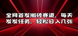 全网首发搬砖赛道，每天发发任务，轻松日入几张【揭秘】-第一资源库