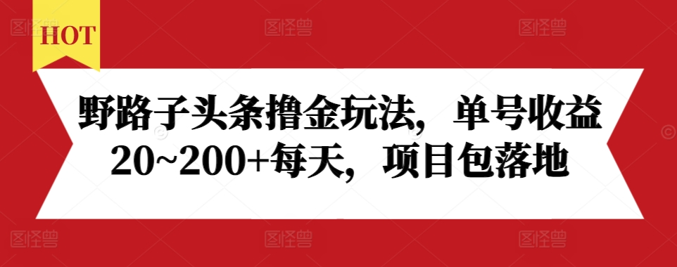 野路子头条撸金玩法,单号收益20~200+每天,项目包落地-第一资源库