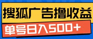 搜狐视频广告全自动撸收益,单号日入5张【揭秘】-第一资源库