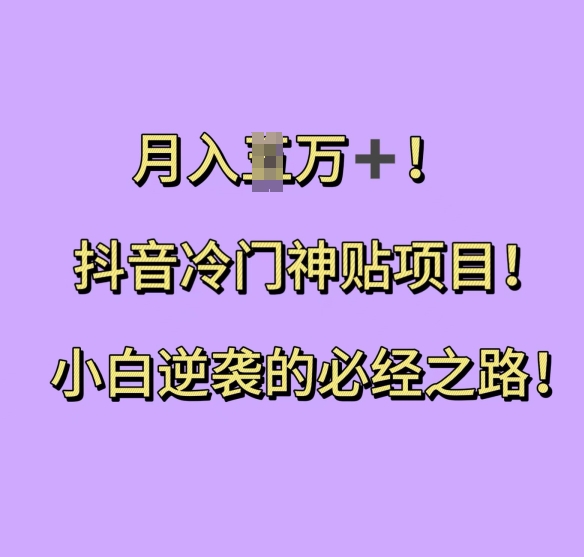 抖音冷门神贴项目,小白逆袭的必经之路,月入过W【揭秘】-第一资源库