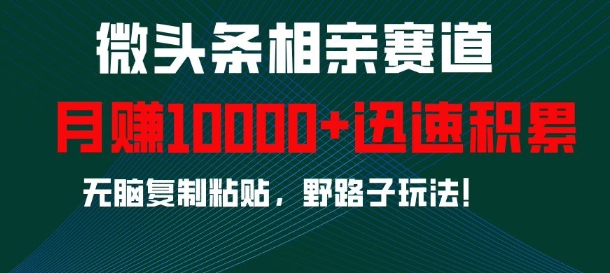 微头条相亲赛道,迅速积累,无脑复制粘贴,野路子玩法,月入1w-第一资源库