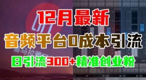 12月最新：音频平台0成本引流，日引流300+精准创业粉-第一资源库