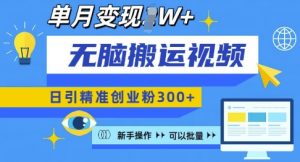 无脑搬运视频号可批量复制,新手即可操作,日引精准创业粉300+,月变现过W 【揭秘】-第一资源库