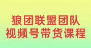 狼团联盟2024视频号带货，0基础小白快速入局视频号-第一资源库