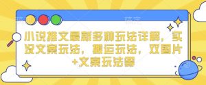 小说推文最新多种玩法详解,实况文案玩法,搬运玩法,双图片+文案玩法等-第一资源库