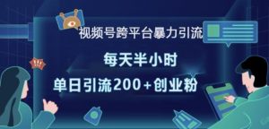 视频号跨平台暴力引流,每天半小时,单日引流200+精准创业粉-第一资源库