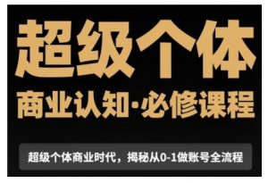 超级个体商业认知觉醒视频课，商业认知·必修课程揭秘从0-1账号全流程-第一资源库