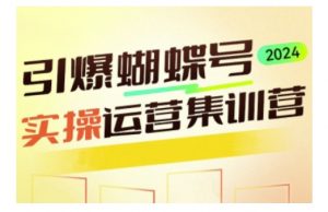 引爆蝴蝶号实操运营,助力你深度掌握蝴蝶号运营,实现高效实操,开启流量变现之路-第一资源库