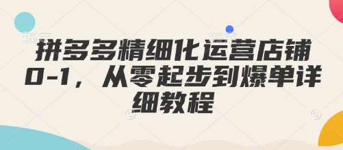 拼多多精细化运营店铺0-1,从零起步到爆单详细教程-第一资源库