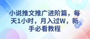 小说推文推广进阶篇，每天1小时，月入过W，新手必看教程-第一资源库