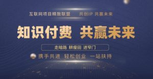 别人苦寻无果，为何他们靠知识付费卖项目 2025 年轻松年入100个?【揭秘】-第一资源库