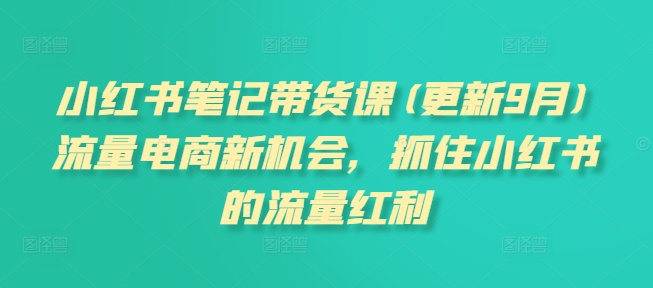 小红书笔记带货课(更新25年2月)流量电商新机会,抓住小红书的流量红利-第一资源库