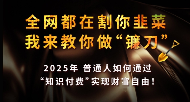 全网都在割你韭菜，我来教你做镰刀，2025年普通人如何通过 知识付费 实现财F自由【揭秘】-第一资源库