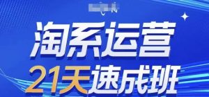 淘系运营21天速成班(更新25年2月),0基础轻松搞定淘系运营,不做假把式-第一资源库