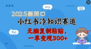 2025新风口，小红书冷知识赛道，无脑复制粘贴，一单变现300+-第一资源库