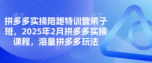 拼多多实操陪跑特训营弟子班,2025年2月拼多多实操课程,海量拼多多玩法-第一资源库
