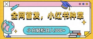 小红书种草,手机项目,日入3张,复制黏贴即可,可矩阵操作,动手不动脑【揭秘】-第一资源库