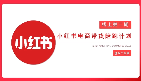 2025小红书虚拟电商实战课,从0到1打造无货源店铺,AI+爆款笔记轻松变现-第一资源库