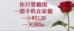你只管截图,一部手机在家操作,一小时120.一天5张【揭秘】-第一资源库
