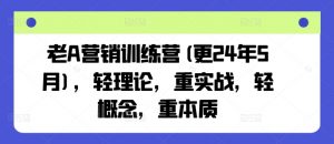 老A营销训练营(更25年3月),轻理论,重实战,轻概念,重本质-第一资源库