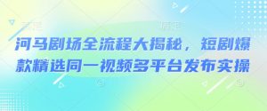 河马剧场全流程大揭秘，短剧爆款精选同一视频多平台发布实操-第一资源库