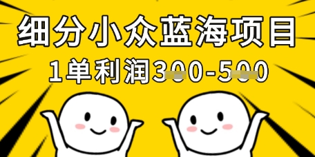 细分小众蓝海项目,一单利润3张,每月收入稳定过1w+-第一资源库