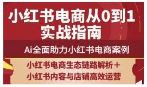 2025小红书电商全链路运营,Ai全面助力小红书电商案例-第一资源库