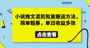 小说推文混剪批量搬运方法，简单粗暴，单日收益多张-第一资源库