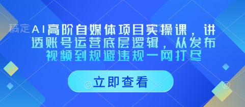 AI高阶自媒体项目实操课,讲透账号运营底层逻辑,从发布视频到规避违规一网打尽-第一资源库