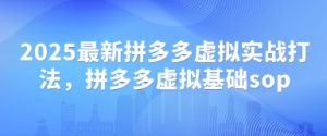 2025最新拼多多虚拟实战打法,拼多多虚拟基础sop-第一资源库