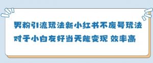 男粉引流玩法(新)，玩法友好做的好当天就能变现-第一资源库