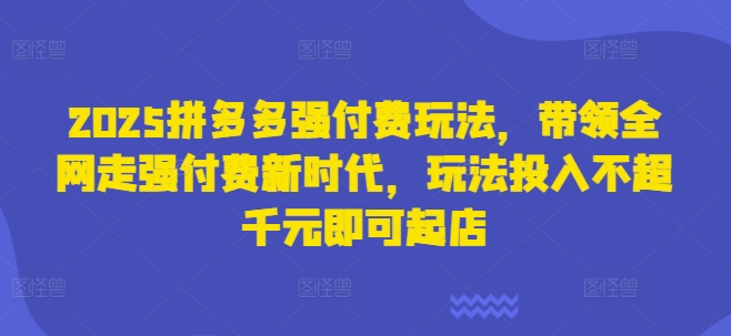 2025拼多多强付费玩法,带领全网走强付费新时代,玩法投入不超千元即可起店-第一资源库