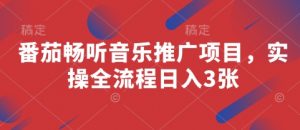 番茄畅听音乐推广项目，实操全流程日入3张-第一资源库