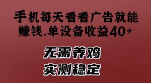 手机每天看看广告就能挣钱，单设备收益40+，无需养鸡，实测稳定【揭秘】-第一资源库