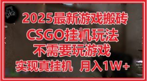 2025最新游戏搬砖,CSGO挂G,不需要玩游戏,实现真挂G,月入1W+【揭秘】-第一资源库