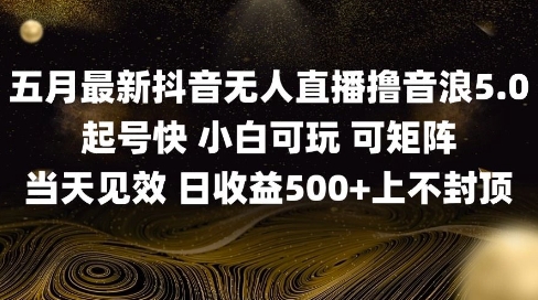 2025五月最新无人直播撸音浪单日产出5张+实操教程【揭秘】-第一资源库