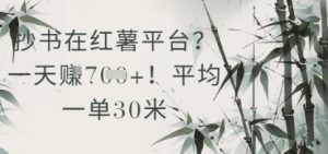 抄书在小红薯平台？平均一单30米，一天收益几张！-第一资源库
