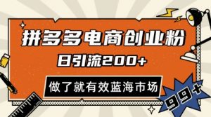 拼多多引流电商创业粉,日引200+,可矩阵放大,做了就有效【揭秘】-第一资源库