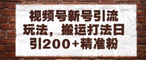 视频号新号引流玩法,搬运打法日引200+精准粉,可矩阵放大【揭秘】-第一资源库