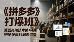 《拼多多打爆班》原创高阶技术第44期,拼多多高利润强付费-第一资源库