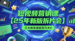 短视频营销课【25年新版拆片会】三大体系成就百万大V,包含正课、拆片会、手把手教学直播课等-第一资源库