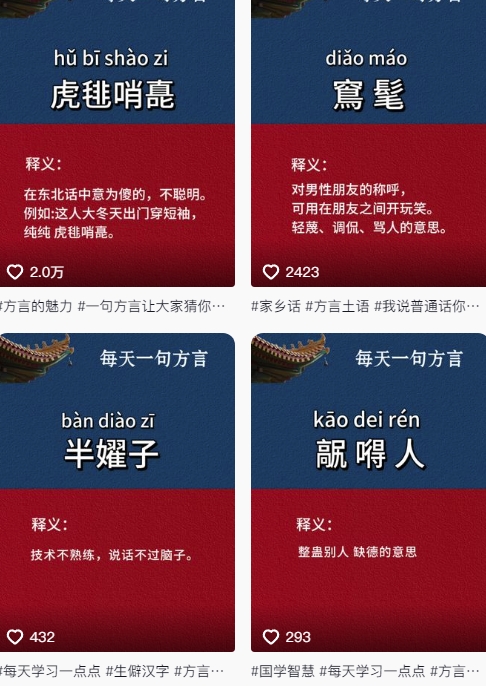 抖音最新涨粉玩法,图文方言暴力涨粉实操,126作品涨粉11W-第一资源库