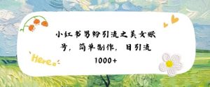 小红书男粉引流项目之美女账号6,简单制作,条条爆款原创,不违规-第一资源库