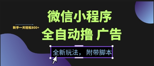 微信小程序全自动撸广告项目,彻底解决没流量的问题,新手一天8张+【揭秘】-第一资源库