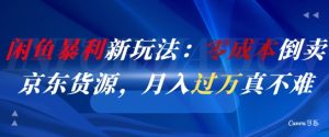 闲鱼暴利新玩法:零成本倒卖京东货源,月入过1W真不难-第一资源库