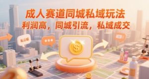 成人赛道同城私域玩法,利润高,同城引流,私域成交-第一资源库